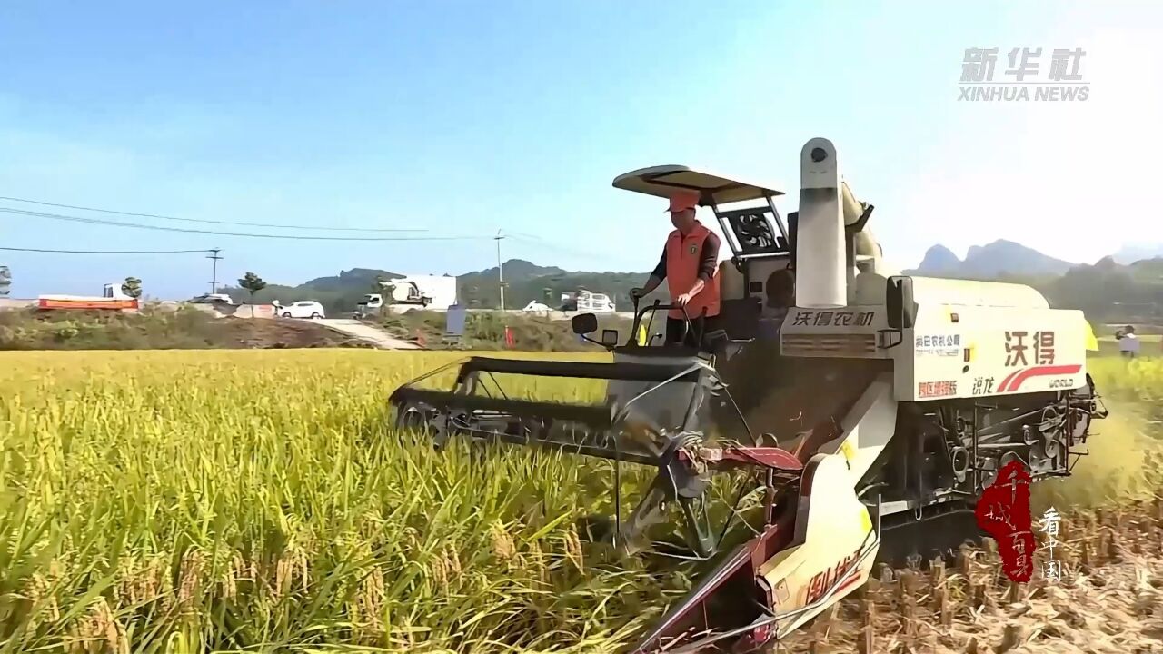 千城百县看中国|福建连城:机收大比武 减损促增收