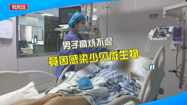 男子高烧不退险丧命 竟是患钩端螺旋体病 医生:多见于雨季