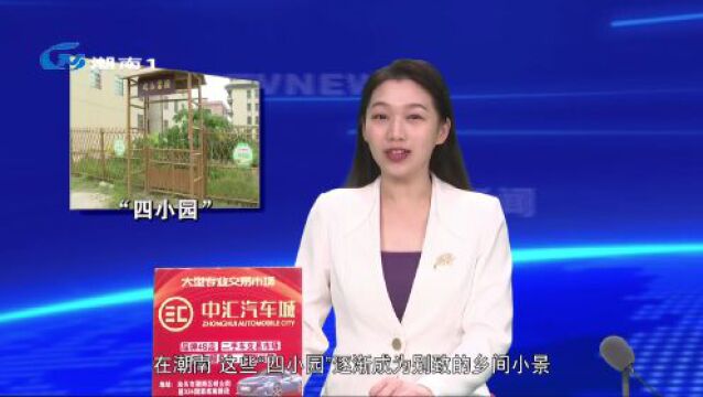 【聚焦“百县千镇万村高质量发展工程”】1715个“四小园” 绘就潮南乡村新画卷