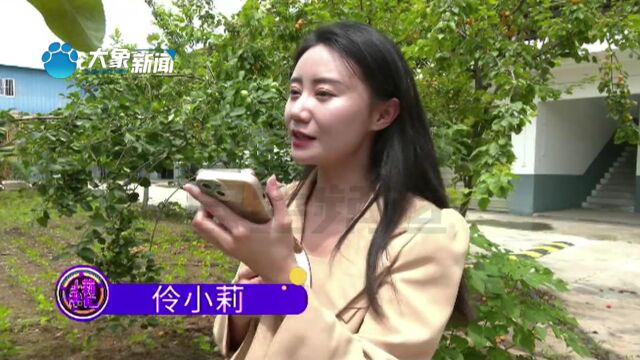 河南焦作:25岁女孩仅60多斤,腿还没妈妈胳膊粗,网友打来电话纷纷献策