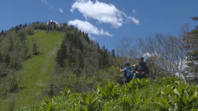 快乐登山行(登顶望天鹅山)