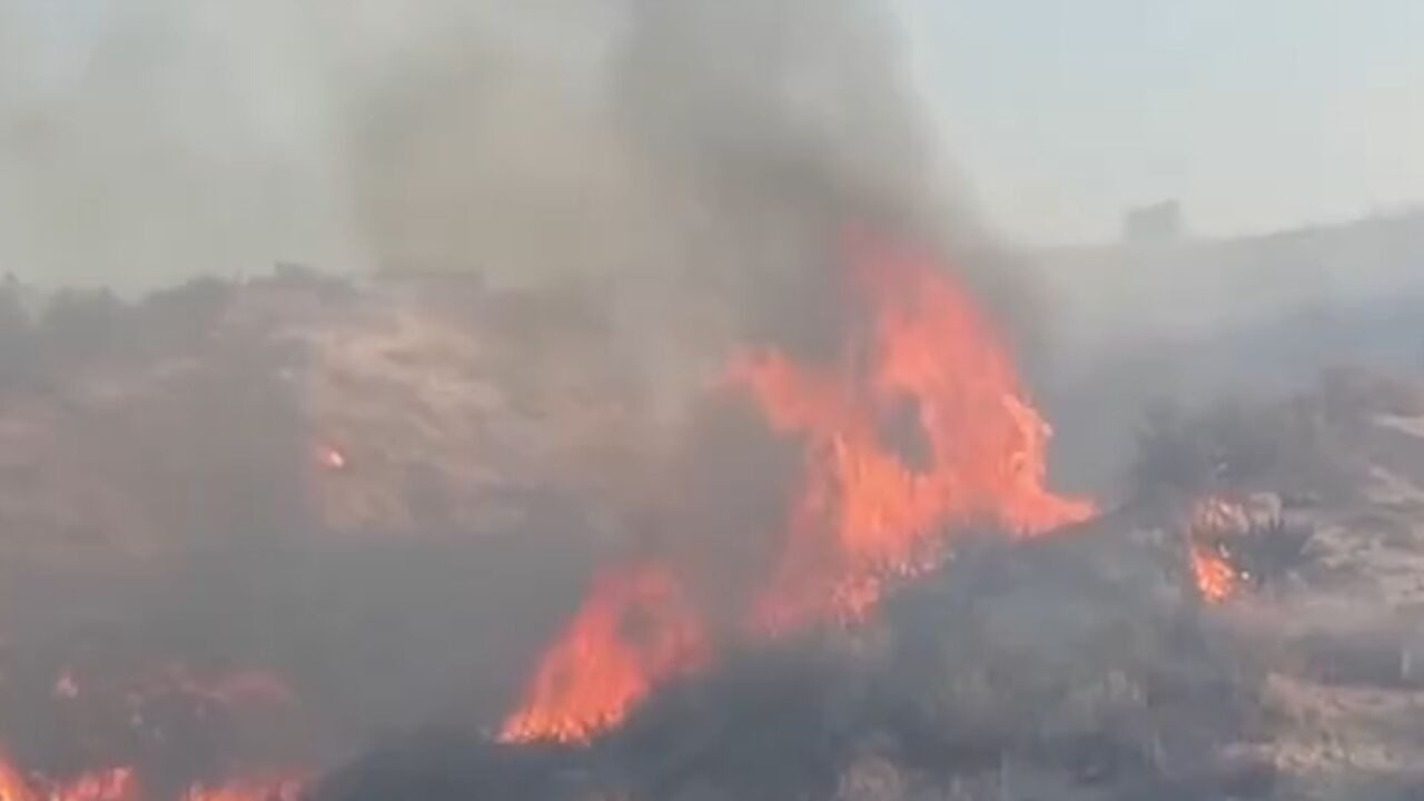 美国加州南部山火蔓延,约4000名居民被疏散