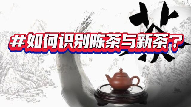 如何识别陈茶与新茶