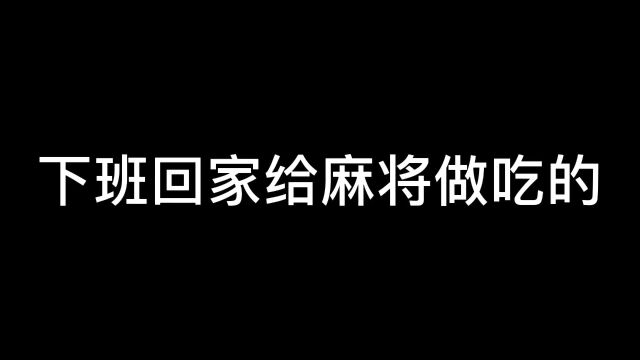 #柴犬 #柴犬日常 今天对主子好点