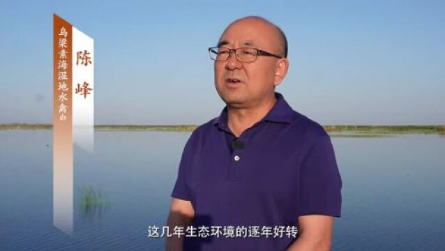 守护好这颗“塞外明珠” 总书记关心的乌梁素海有哪些新变化