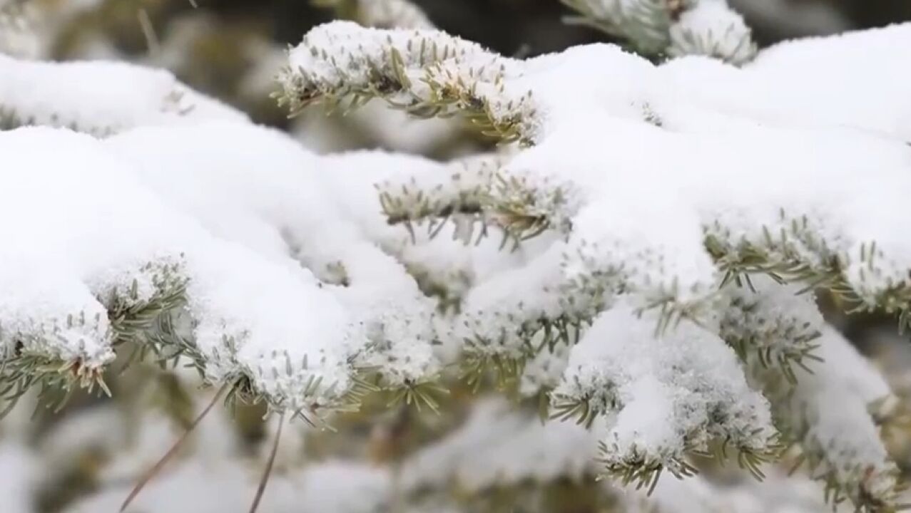 黑龙江:大兴安岭地区迎来大范围降雪天气