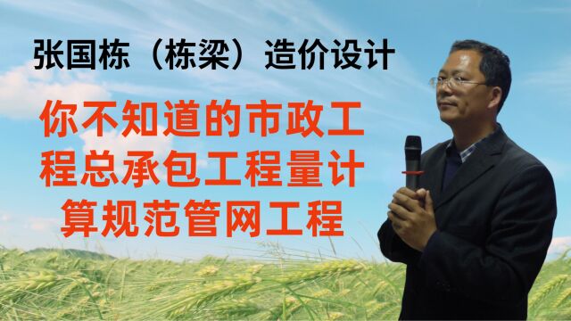 张国栋(栋梁)造价设计:你不知道的市政工程总承包工程量计算规范管网工程