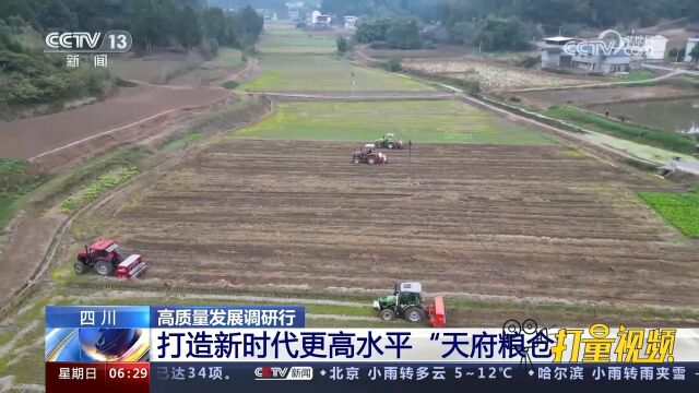 四川:打造新时代更高水平“天府粮仓”