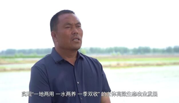 赞 评论 收藏 分享 河北唐山:稻蟹共作促增收