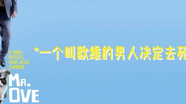 一个叫欧维的男人决定去死,人生末路的自我救赎3