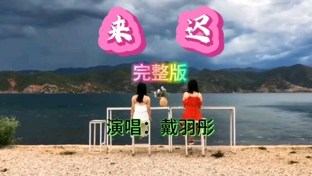 戴羽彤原唱 MV 《来迟》独特的嗓音,优美的旋律,伤感歌曲,超好听