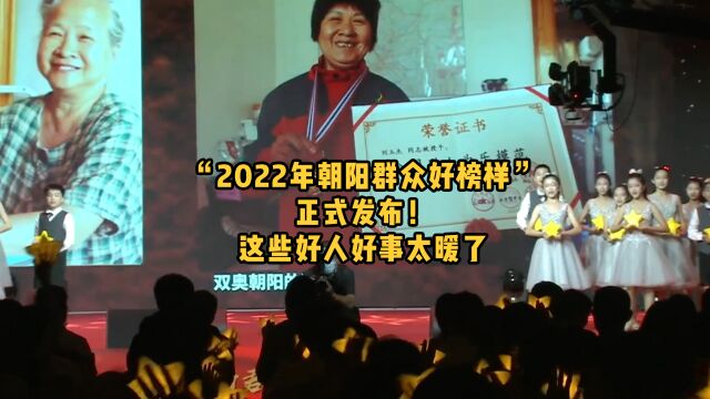 “2022年朝阳群众好榜样”正式发布!这些好人好事太暖了