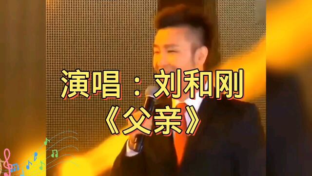 刘和刚一首抒情歌曲《父亲》今天父亲节,送给天下的父亲!