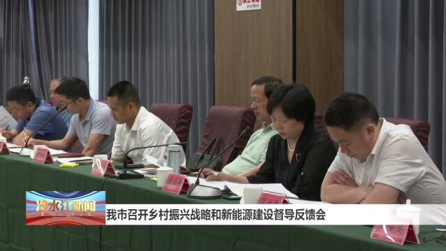 我市召开乡村振兴战略和新能源建设督导反馈会