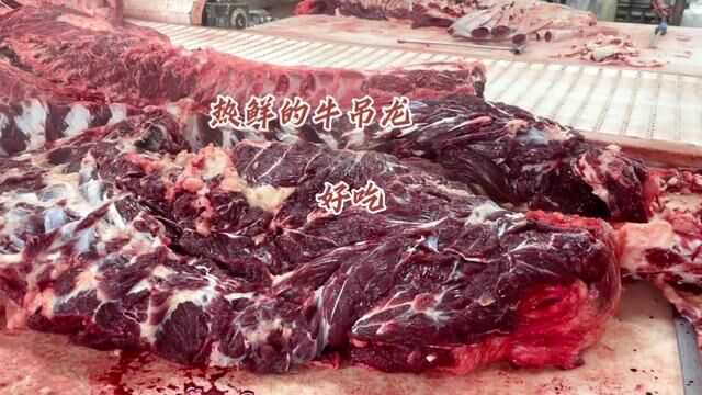 新鲜国产放心牛肉,正经清真吊宰,想要的点我头像.#牛肉 #鲁西黄牛