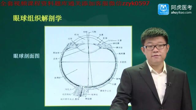 2023年阿虎医考026眼科学副高级职称考试视频押题通关 眼的解剖与生理