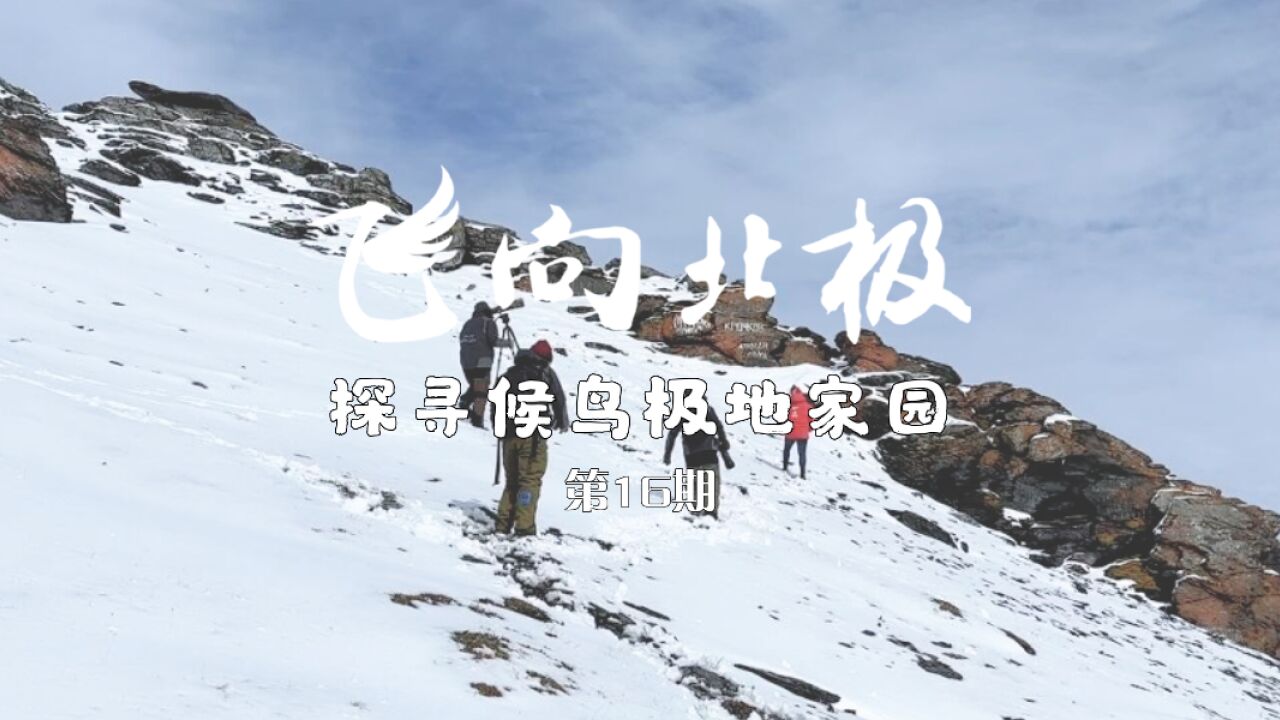 飞向北极|极地段VLOG第16期:6月,一起感受北极圈暴雪