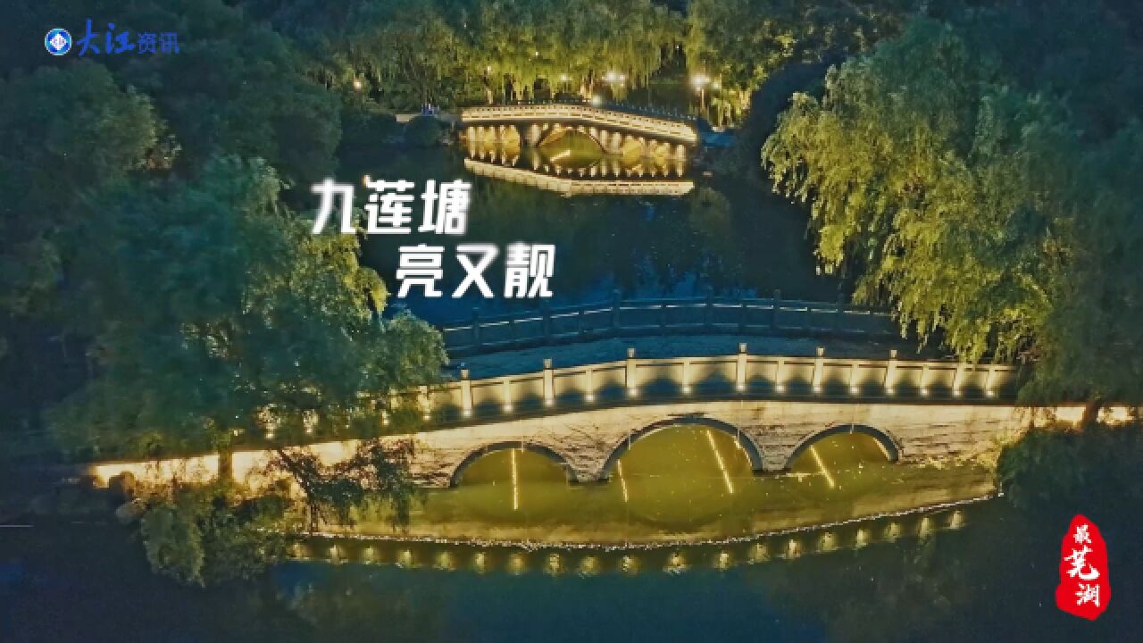 最芜湖|九莲塘 亮又靓