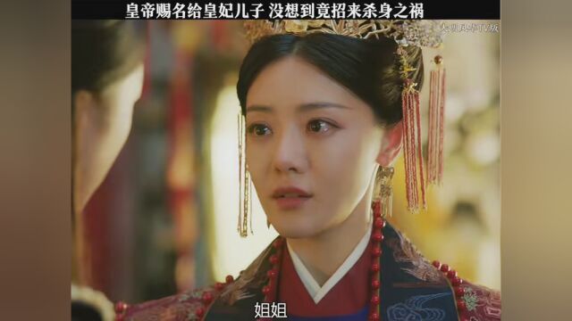 #大明风华TV版 皇帝赐名给皇妃儿子 没想到竟招来杀身之祸