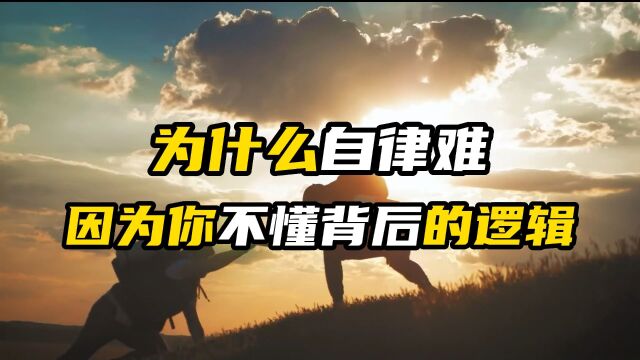 自律原本就是伪命题,其实背后是利弊的权衡