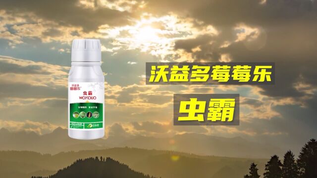 沃益多莓莓乐虫霸!生物制剂安全高效!不伤蜜蜂!