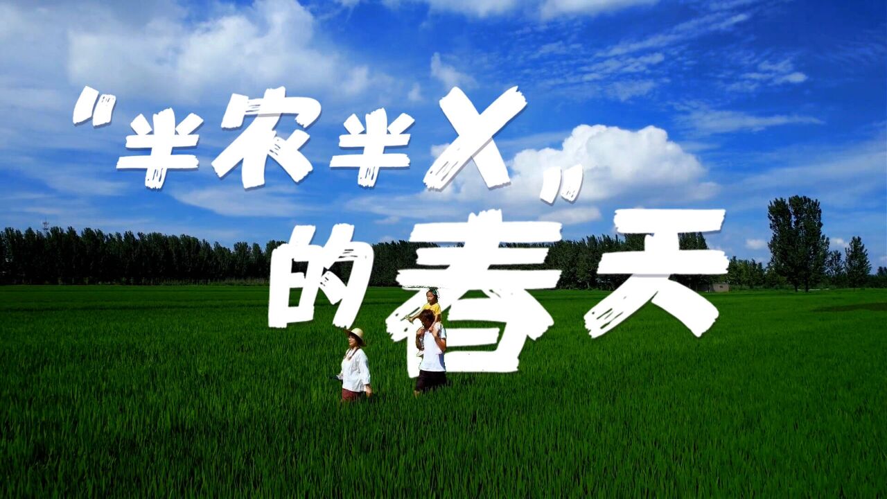 新农人 兴农人|“半农半X”的春天:回乡四年,临沂夫妻如何探索农村生活的新可能?