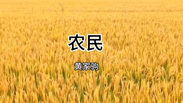 黄家驹经典老歌《农民》,唱出了农民的辛酸和坚强!