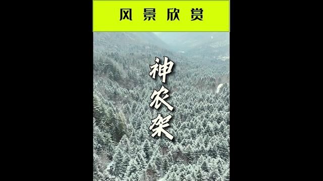 活着,一定要有气度,这不仅仅是涵养,也是一种标识.在与人交往中,为人所看中的第一要素即是气度.