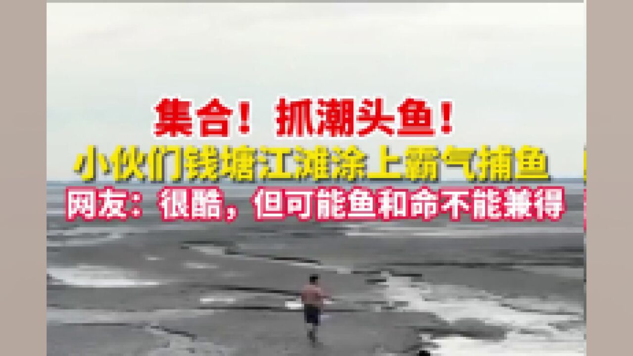 现实版“捕鱼达人”你见过吗?小伙钱塘江滩涂潮头霸气捕鱼