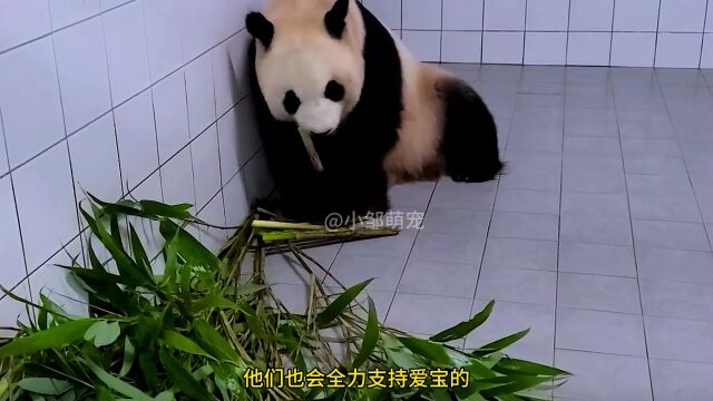 爱宝二胎官宣,福宝要当姐姐了