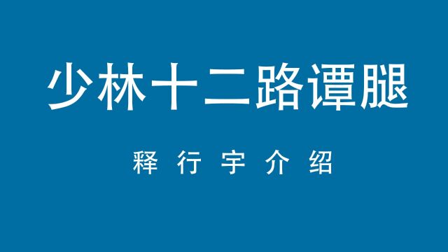 少林十二路谭腿释行宇介绍