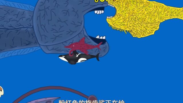 粉红色的旋齿鲨正在给虎鲸清理身上的小虫子 #原创动画 #巨鲲 #远古生物