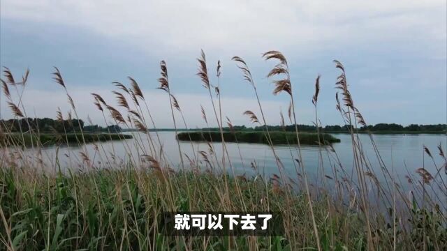 下陡门村:留住美丽瞬间,留下难忘回忆