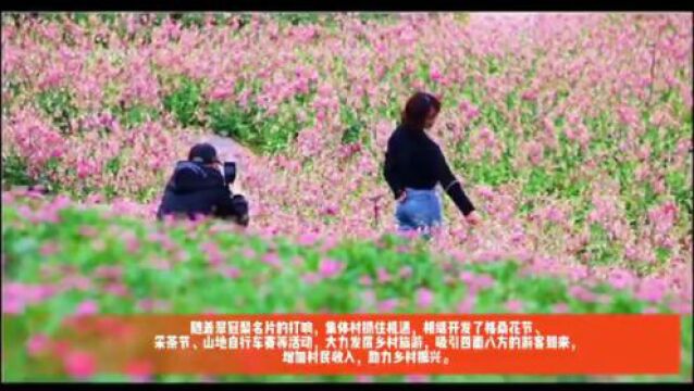 “三治融合”如何弹响幸福乡村协奏曲?本报记者带你实地探访