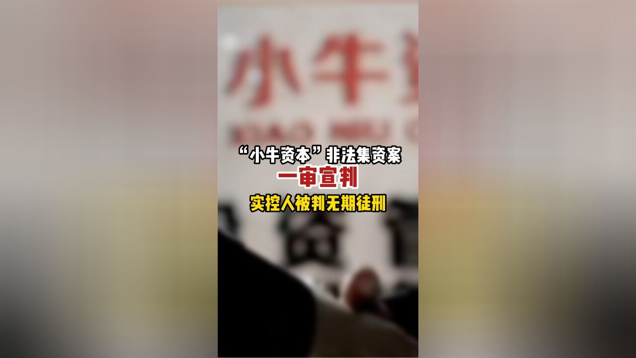 “小牛资本”非法集资案一审宣判!实控人被判无期徒刑!