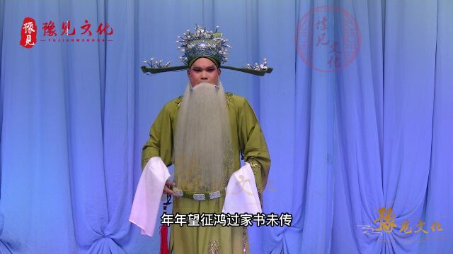 豫西调《八珍汤》,奉王命出帝京洛阳巡按一折,王远饰演张文达!