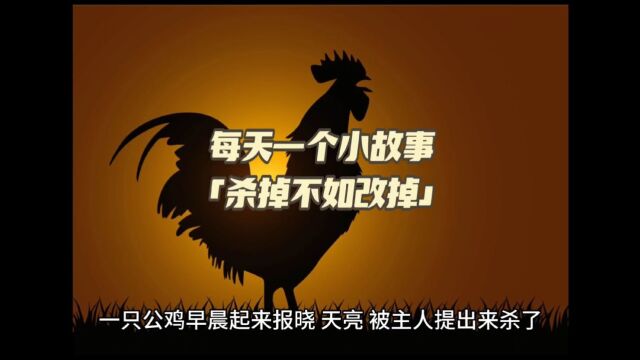 子然说每天一个小故事《第一集》杀掉不如改掉