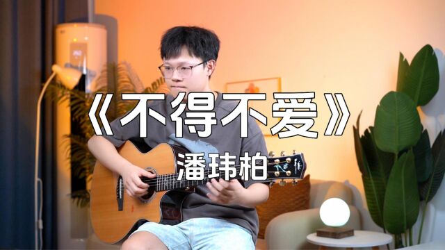 经典回忆杀歌曲《不得不爱》,每天也就听个几十遍~