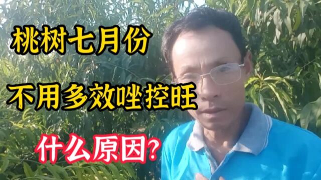 为什么不能用多效唑控旺?给你个配方效果很好