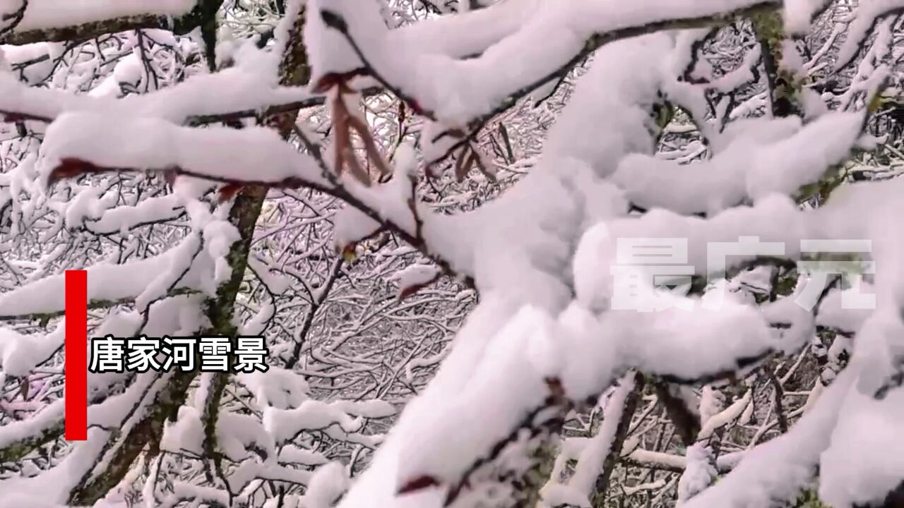 这几天,广元突然冷了起来,原来这里下雪了!