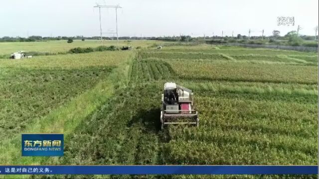 卢胜调研土地非粮化非农化整改及林地保护工作