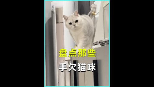 盘点那些手欠的猫好奇害死猫一点没错 萌宠 搞笑 喵星人 高清1080P在线观看平台 腾讯视频