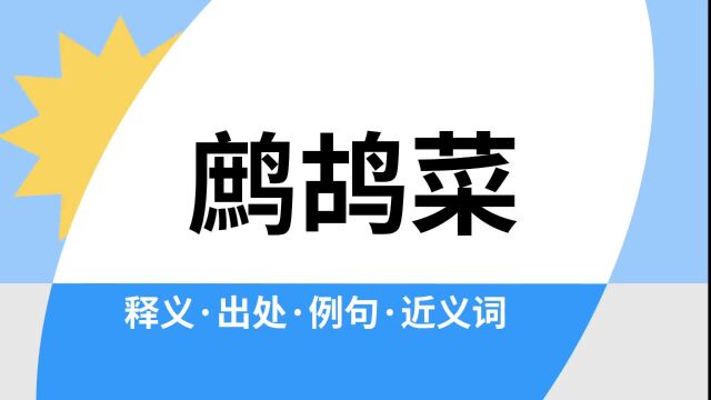 “鹧鸪菜”是什么意思?