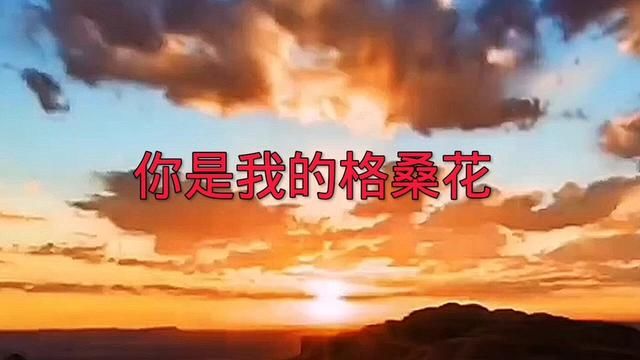 《我是你的格桑花》词曲:王琪,演唱:梁红