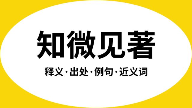 “知微见著”是什么意思?