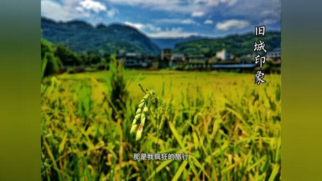 田园生活 #家乡 #风景