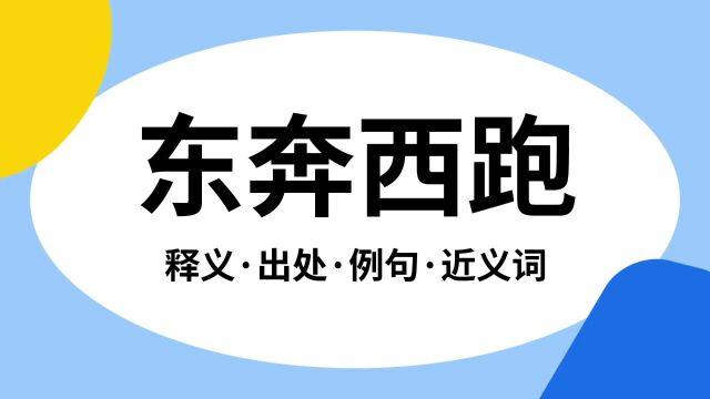 “东奔西跑”是什么意思?