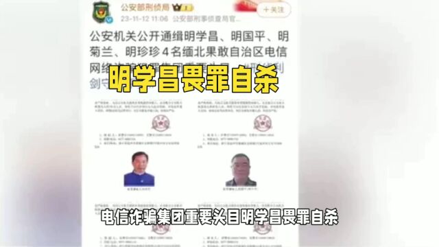 电信诈骗集团头目自杀,子女被捕,缅甸协助打击犯罪