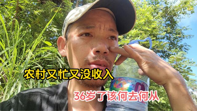 36岁了该何去何从?农村天天那么忙,可又没收入