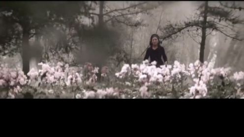 音乐视频  朝鲜系列电影《无名英雄》插曲【无名之花】
